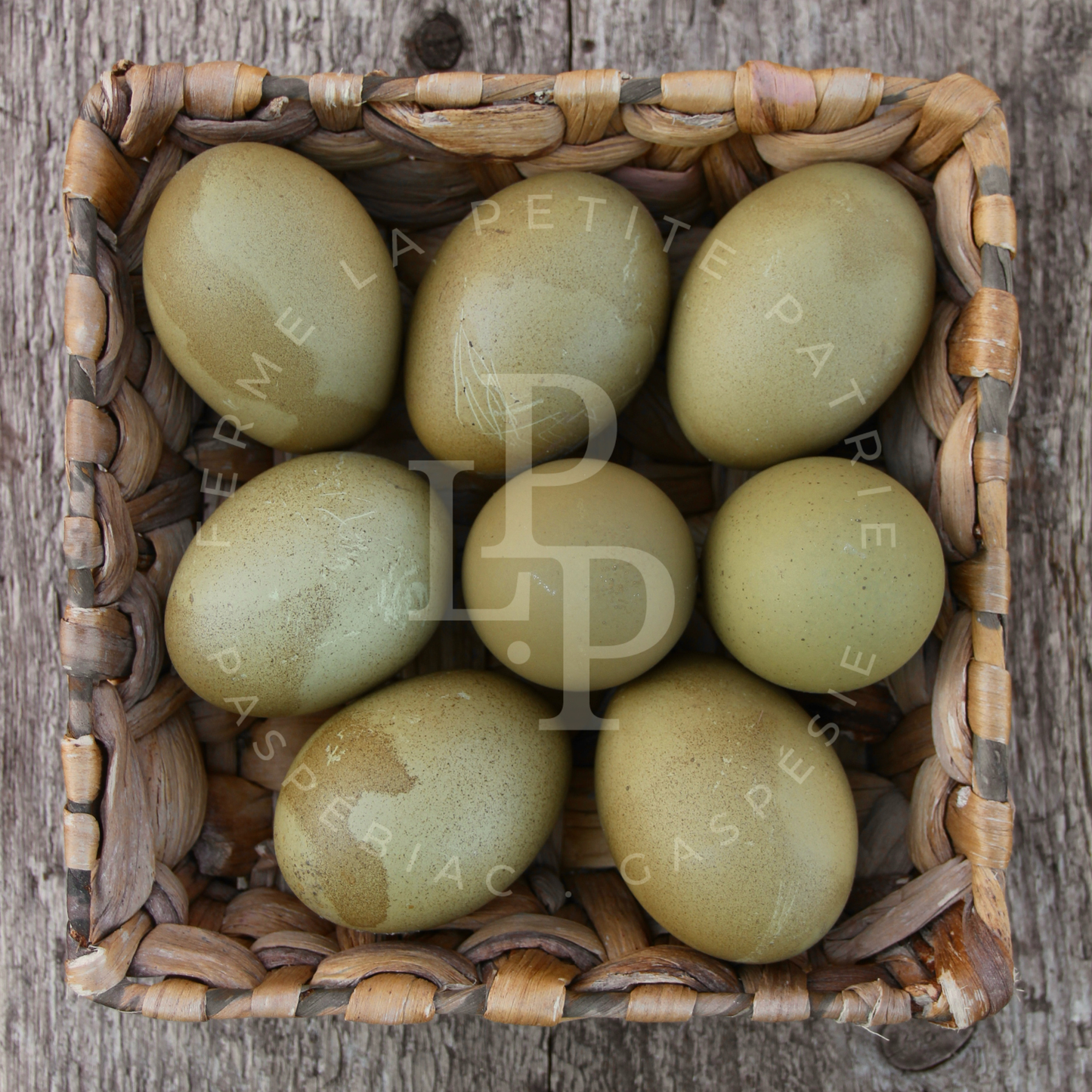 Olive Egger